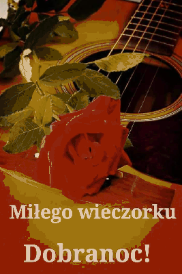 Róża na gitarze miłego wieczoru
